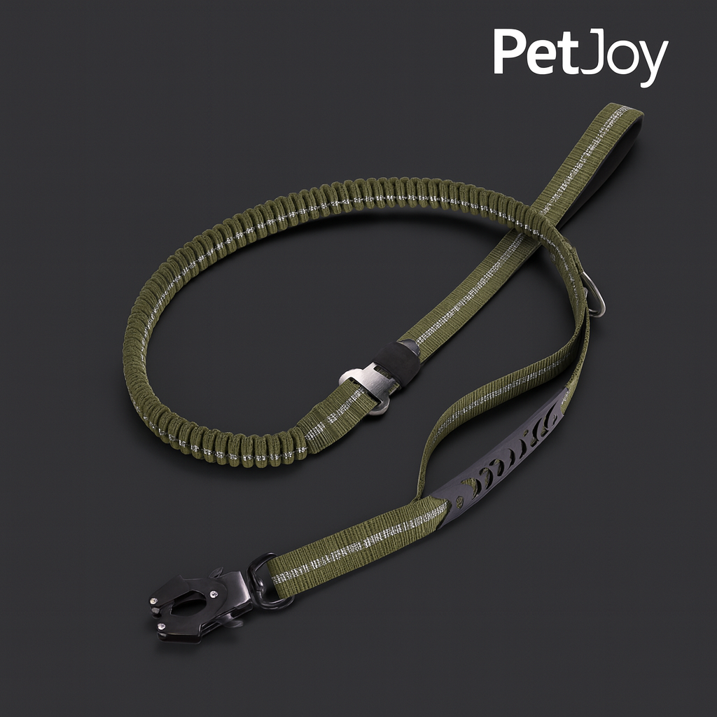 Safety Leash for Pets