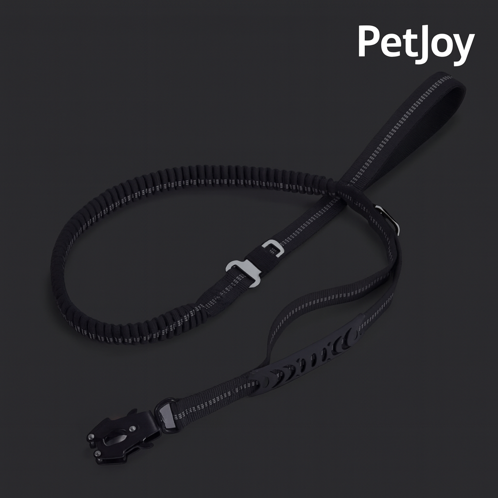 Safety Leash for Pets