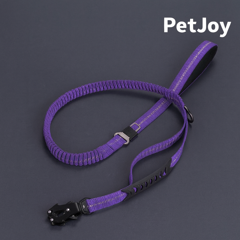 Safety Leash for Pets