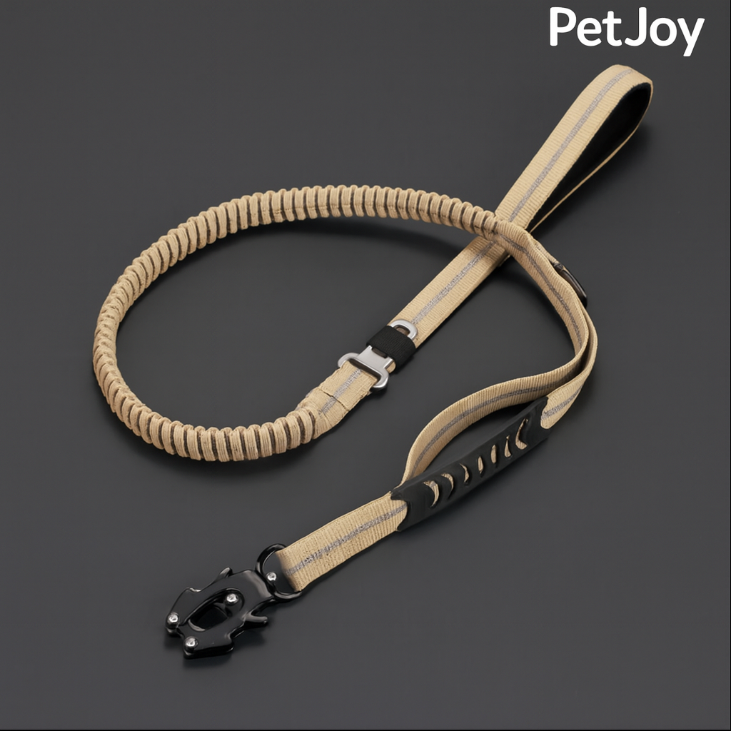 Safety Leash for Pets