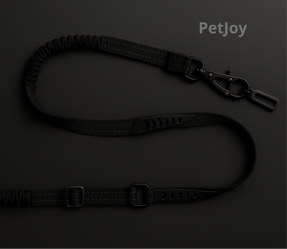 Dog Vehicle Leash