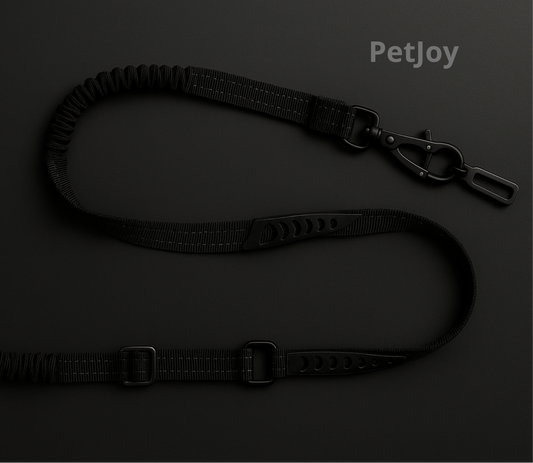 Dog Vehicle Leash