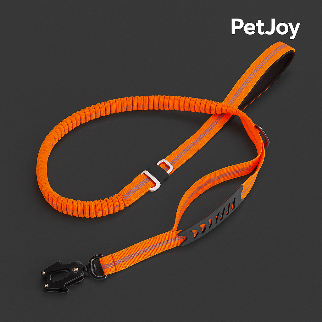 Safety Leash for Pets