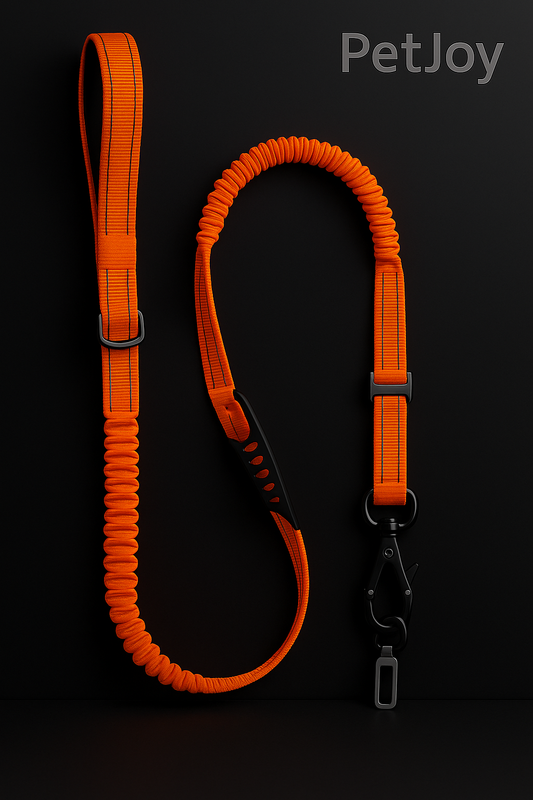 Dog Vehicle Leash