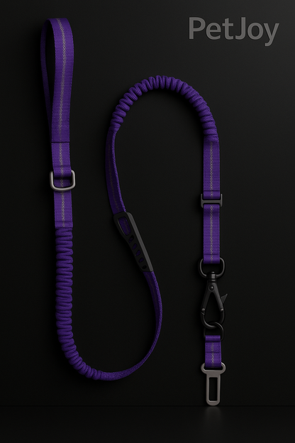Dog Vehicle Leash