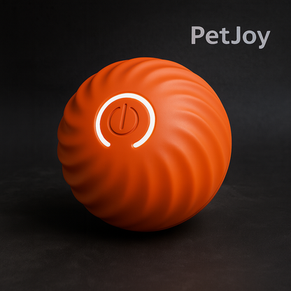 Rechargeable Smart Ball