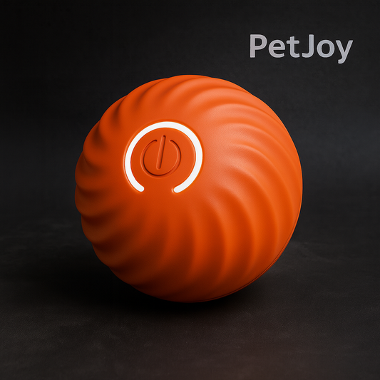 Rechargeable Smart Ball