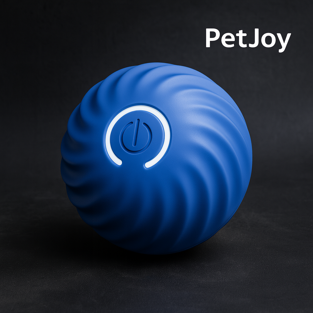Rechargeable Smart Ball