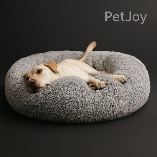 Comfortable Bed for Pets