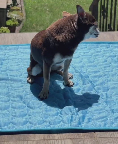 Pet Cooling Bed