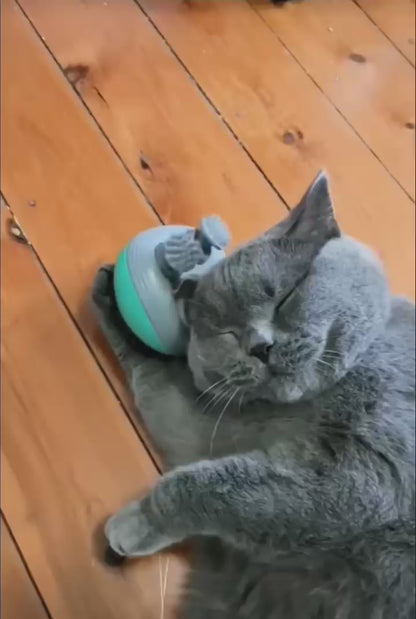 Rechargeable Electric Massager